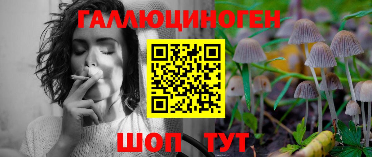 Псилоцибиновые грибы MAGIC MUSHROOMS Горячий Ключ